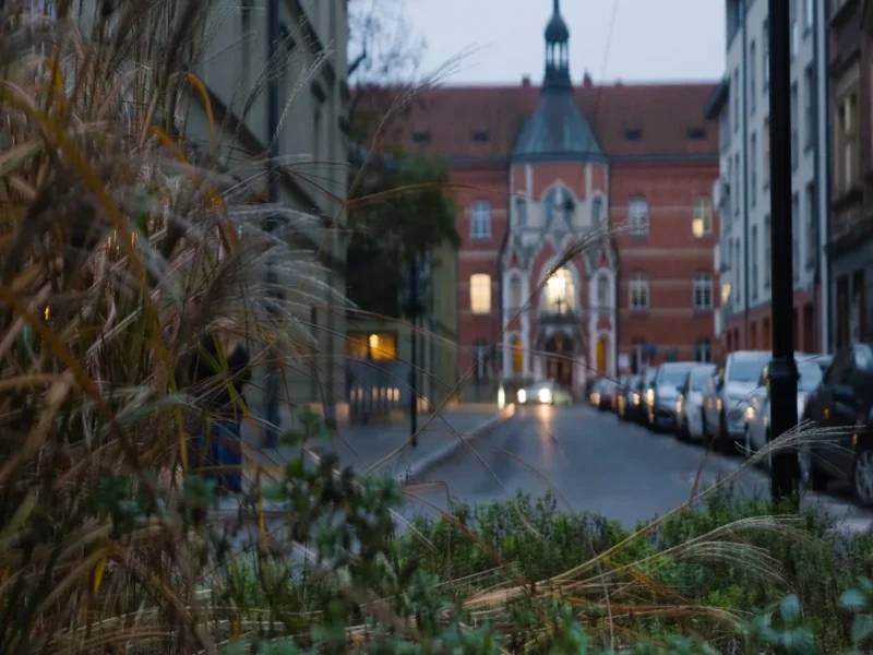 Leather Art Weekend 2025