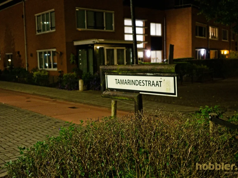 Mr Fetish Eagle, May 2025