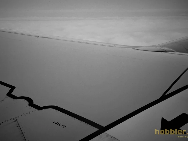 Leather Art Weekend 2025